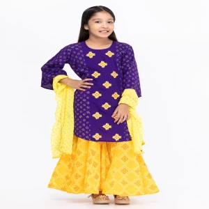 Purple Printed and Embroidered Voile Shalwar Kameez